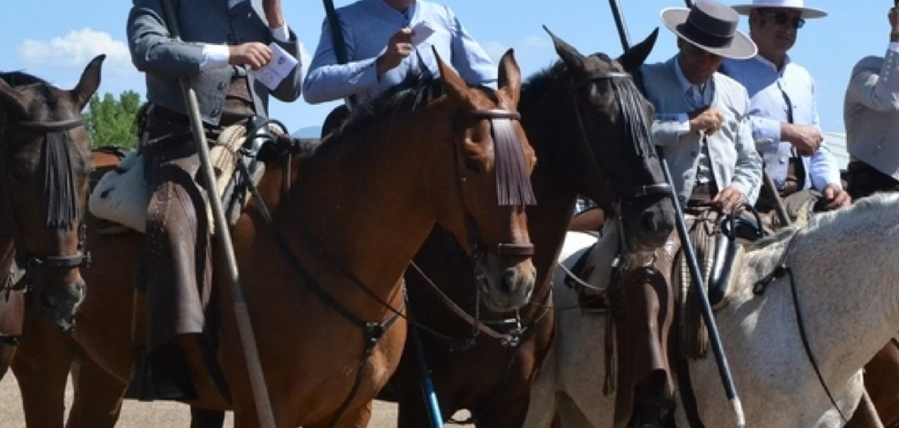 Acoso y derribo a la tiranía