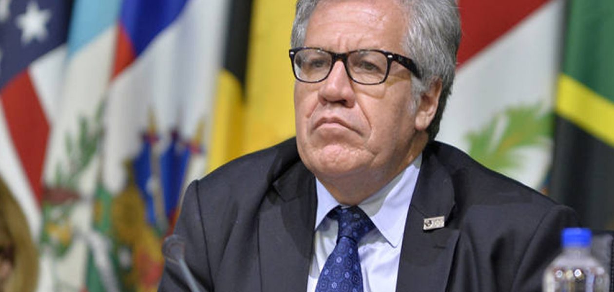 Almagro rechaza que Constituyente legisle por encima de la Asamblea Nacional